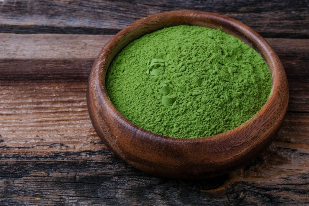 Avocado Fruit Powder