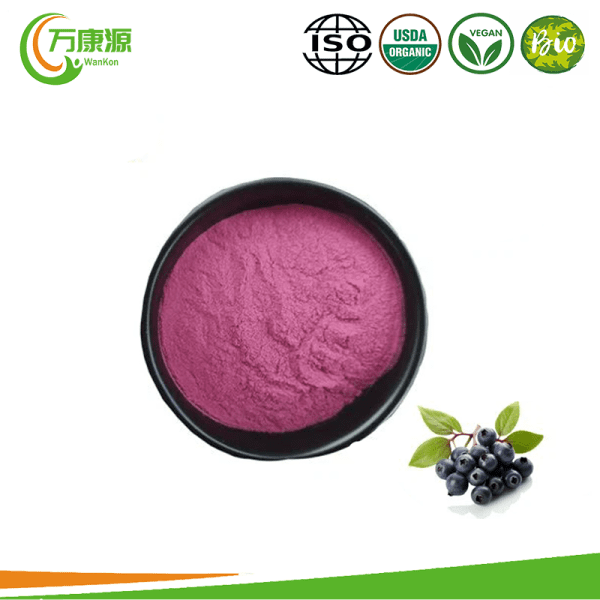 High Quality Bilberry Extract Powder Manufacturers