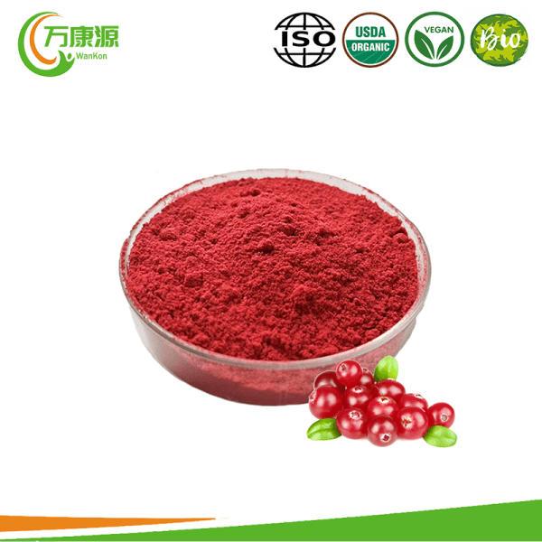 High Quality Cranberry Extract Powder Cranberry Fruit Powder