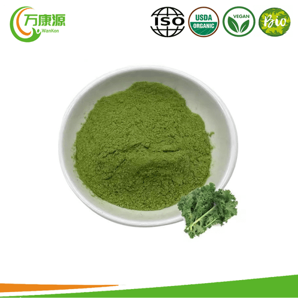 High Quality Pure Organic Kale Extract Powder Kale Powder Herbal Supplement 10:1 20:1 Kale Extract Powder