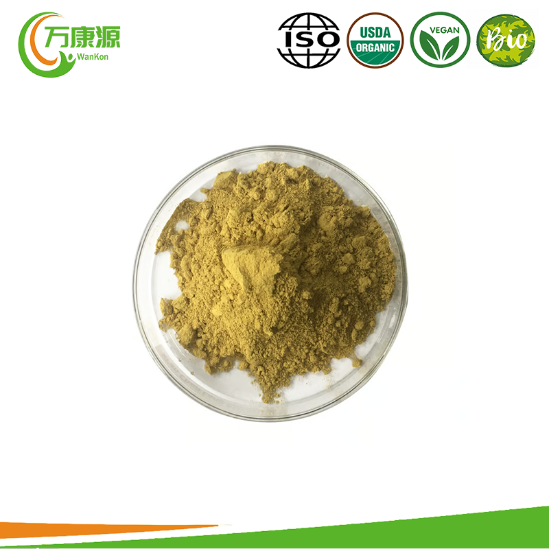 Natural Fisetin Powder