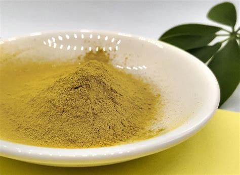 Natural Fisetin Powder 3 Natural Fisetin Powder