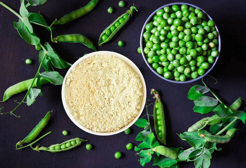 Plant-Based Protein