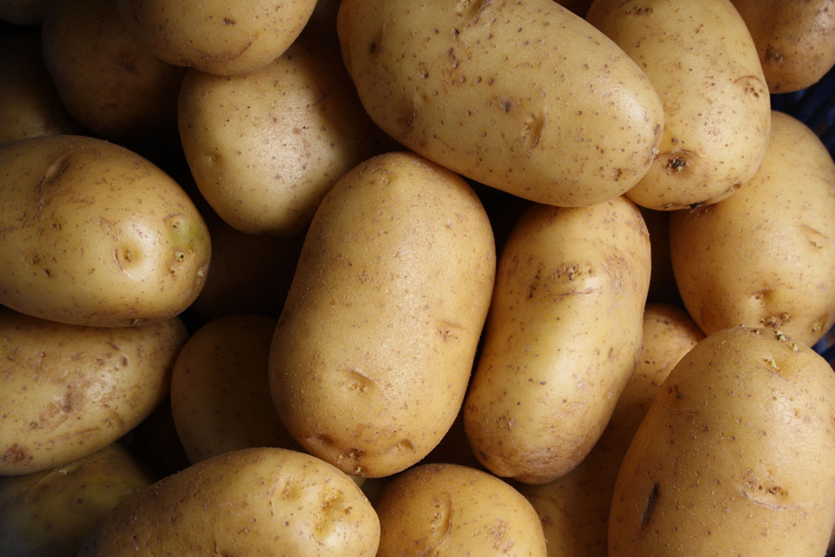 Vegan Potato Protein Powder